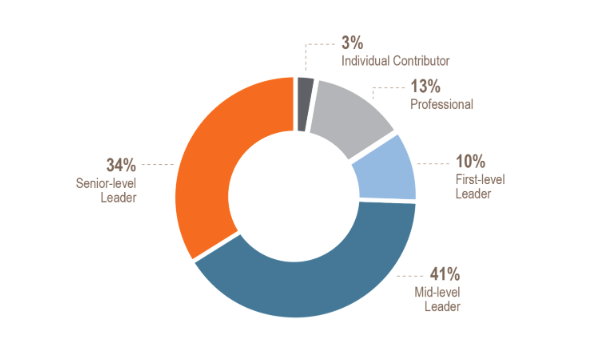 Women as Mentors methodology